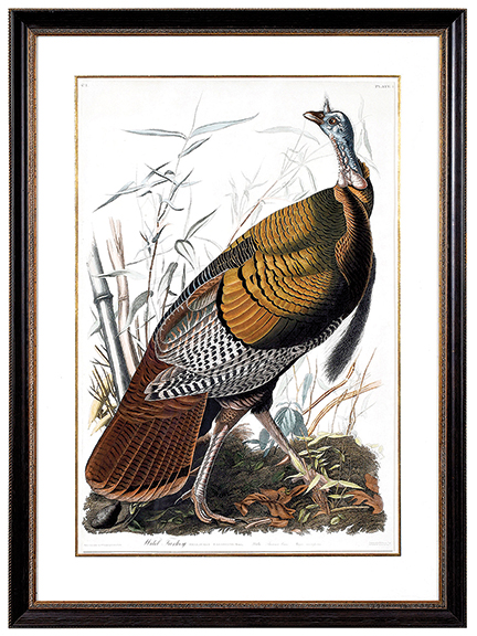John James Audubon (1785-1851) put a price of $1000 on each of the nearly 200 complete folios of the Havell edition of The Birds of America. Wild Turkey, Plate 1, comes from one of those folios. The 38 3/16" x 25¼" (sight size) hand-colored engraving with etching and aquatint on paper sold to an absentee bidder for $46,740 (est. $40,000/60,000).